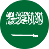 Arabia Saudită - Professional League